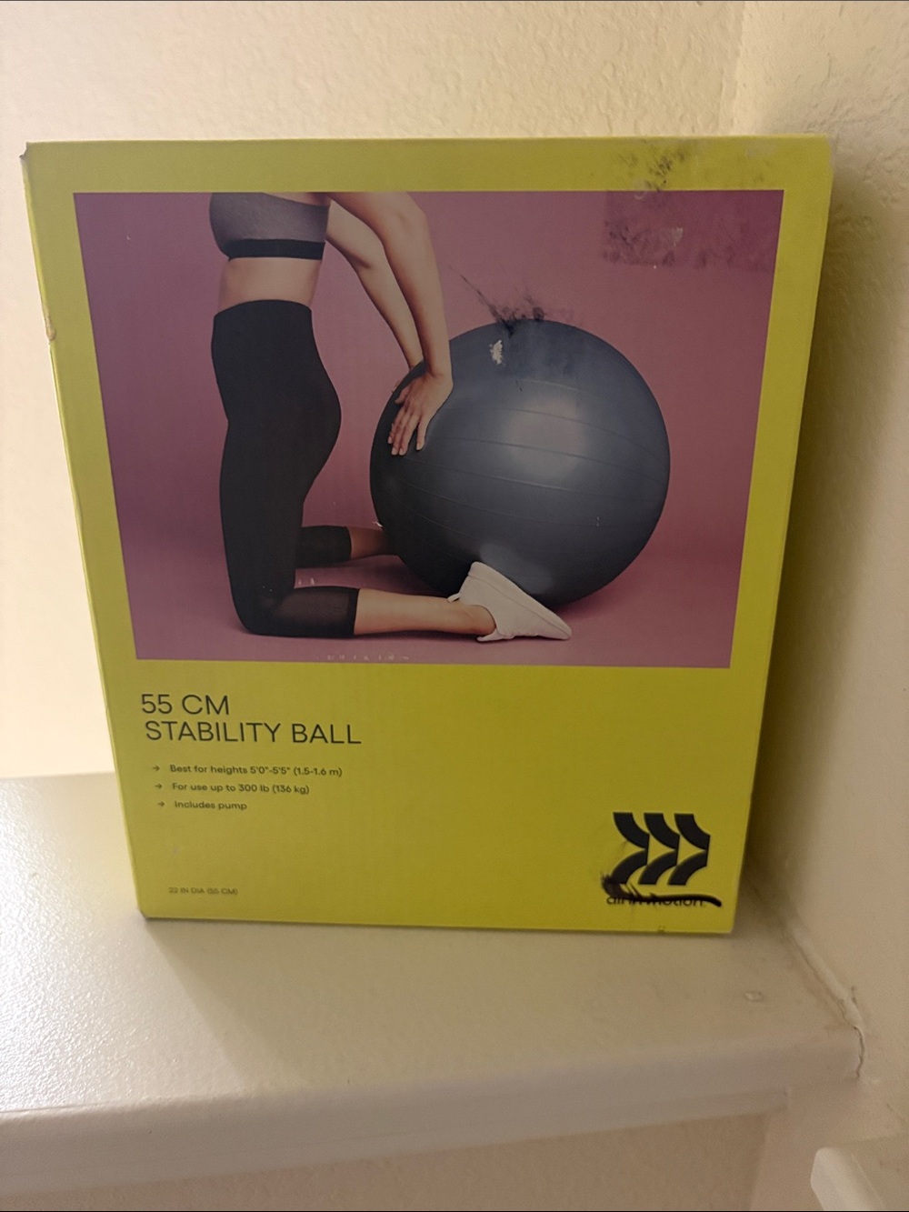 55 CM Stability Ball - Gray Exercise Ball